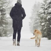 Winter activities with dog